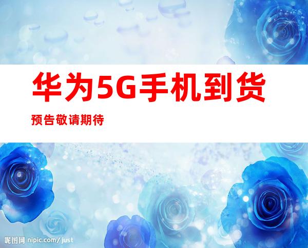 传承红色血脉，筑牢Weilink长城